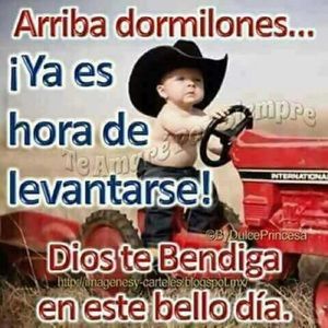 Meet your Posher, Idalia